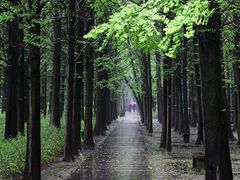 -同里国家湿地公园