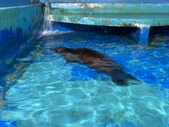 -太平洋海底世界