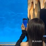 吃饭还能能看到美人鱼🧜🏻‍♀️｜中山K6潜水餐吧