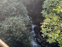 -鼎湖山风景区