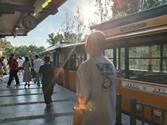 -合肥滨湖国家森林公园