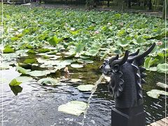 -青城公园