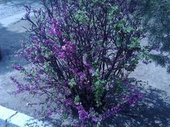 -辽沈战役纪念馆