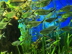 -太平洋海底世界