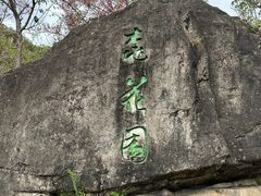 -深圳仙湖植物园