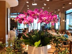 -若蘭慈·无国界素食料理(欢乐海岸店)
