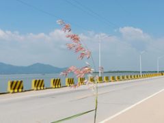 -汕尾风车岛