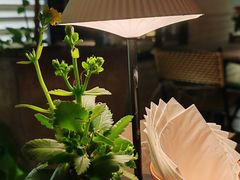 -La Maison 夜来香(进贤路店)