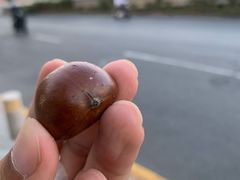-王老头炒货(玉蜓桥店)