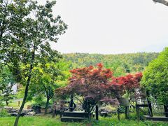 -穹窿山景区