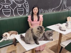 -安格丽娜·狗咖·猫咖羊驼咖(春熙路百盛商场店)