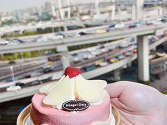 -哈根达斯(陆家浜路店)
