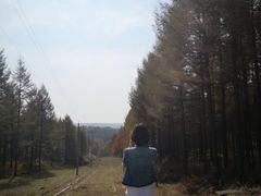 -塞罕坝国家级自然保护区