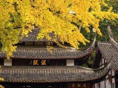 -成都市文殊院