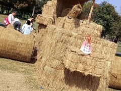 -嬉乐湾休闲旅游区