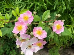 -浮山风景名胜区