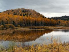 -五营红松林海景区