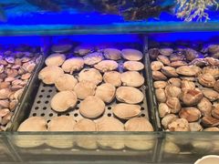 -SEA西雅图海鲜自助餐厅(海乐世界店)