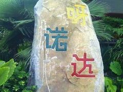 -呀诺达热带雨林