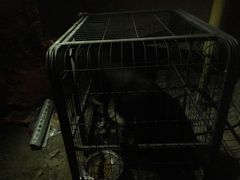 -萨拉漫饮食(北京中路店)