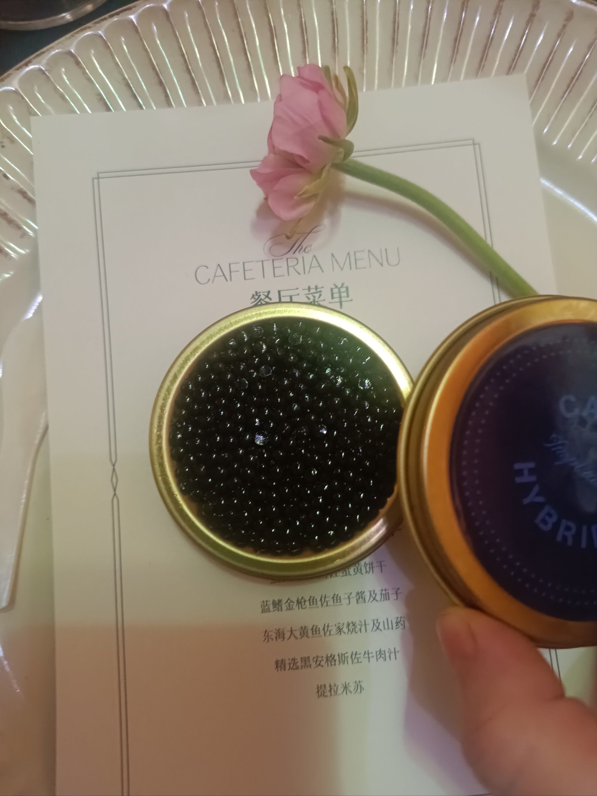 干细胞,八大功效1,02以植物干细胞激活皮肤各类干细胞