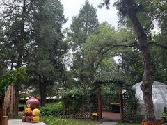 -莫多多餐厅