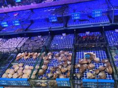 -青蓬蒸汽海鲜·深圳老字号·团建聚会(壹方城店)