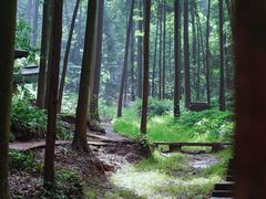 -凤栖山