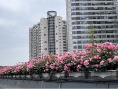 -BingoLand宾果体能中心(钱江新城店)
