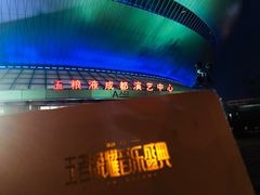 -成都金融城演艺中心