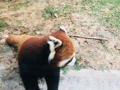-东部华侨城