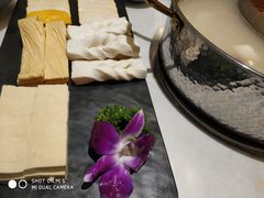 建水豆腐-小街猪手(团结湖店)