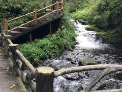 -凤凰山国家森林公园