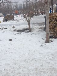 -优沃得自然教育农场·冰雪乐园·生日会·研学