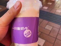 -一只酸奶牛(八一路店)