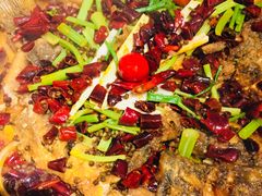 -老板恋上鱼(恒隆广场店)