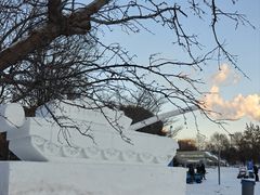 -沈阳奥体冰雪嘉年华