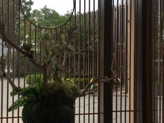 -村上一屋(望京店)