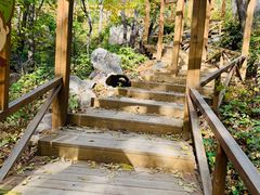 -大岭沟猕猴桃谷风景区