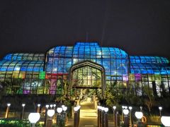 -大塘金香草谷