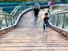 -大信·云顶星河游乐王国