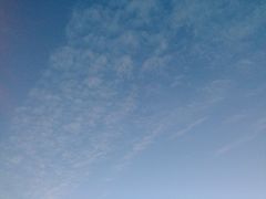 初夏-唐城墙遗址公园