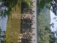 -九龙潭景区