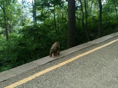 -黔灵山公园-南门售票处