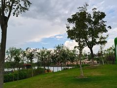 -上海长兴岛郊野公园