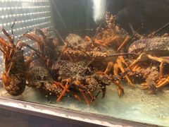 游水龙虾-禅e私房菜 Zen E Private Kitchen Chinese Restaurant