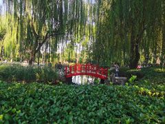 -玲珑塔公园