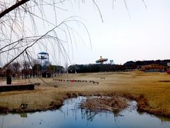 -武汉紫薇都市田园