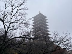 -牛首山文化旅游区