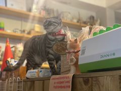 -小时光咖啡馆(北锣鼓巷店)